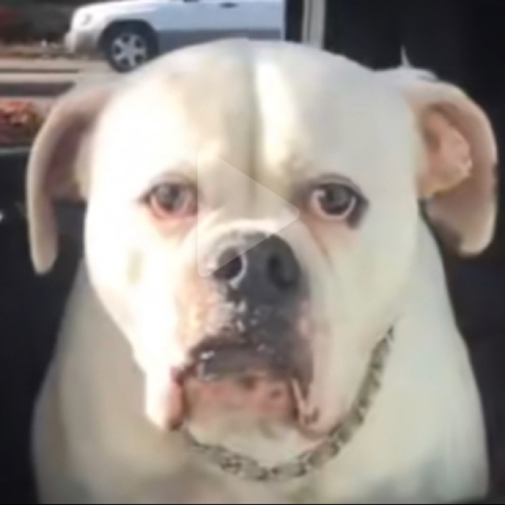 Meet your Posher, Zack